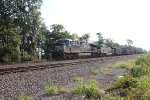 NS 4597 leads train 591 with coal empties